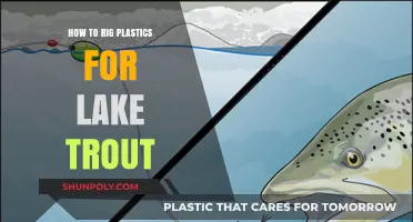 Rigging Plastics for Lake Trout: The Ultimate Guide