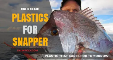 Snapper Fishing: Rigging Soft Plastics for Success