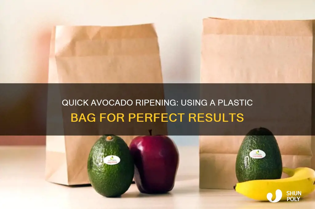 how to ripen avocado plastic bag