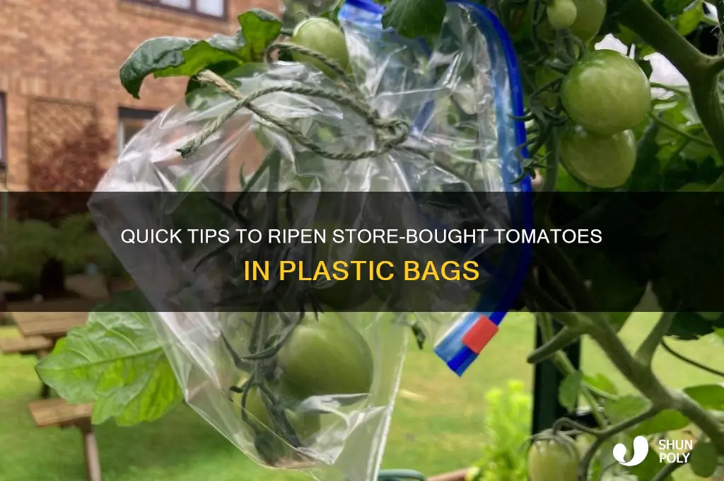 how to ripen store bought tomatoes in plastic bags