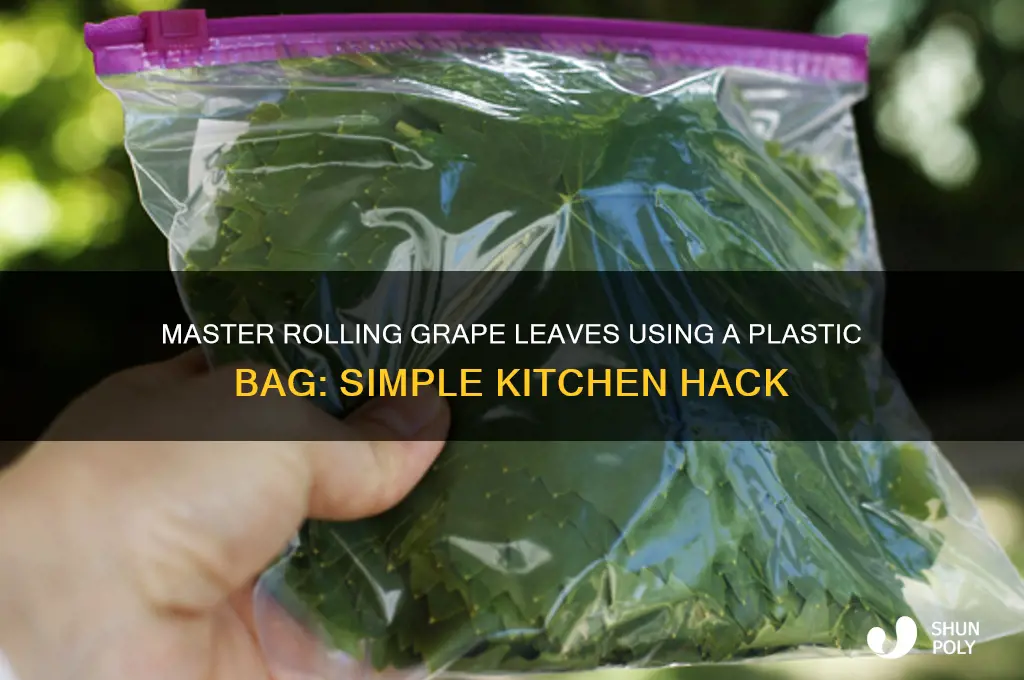 how to roll grape leaves with plastic bag