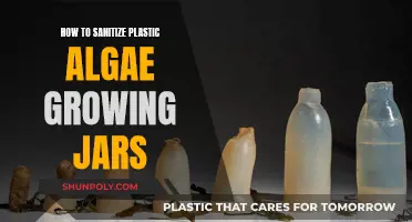 Sanitizing Plastic Algae Jars: A Step-by-Step Guide