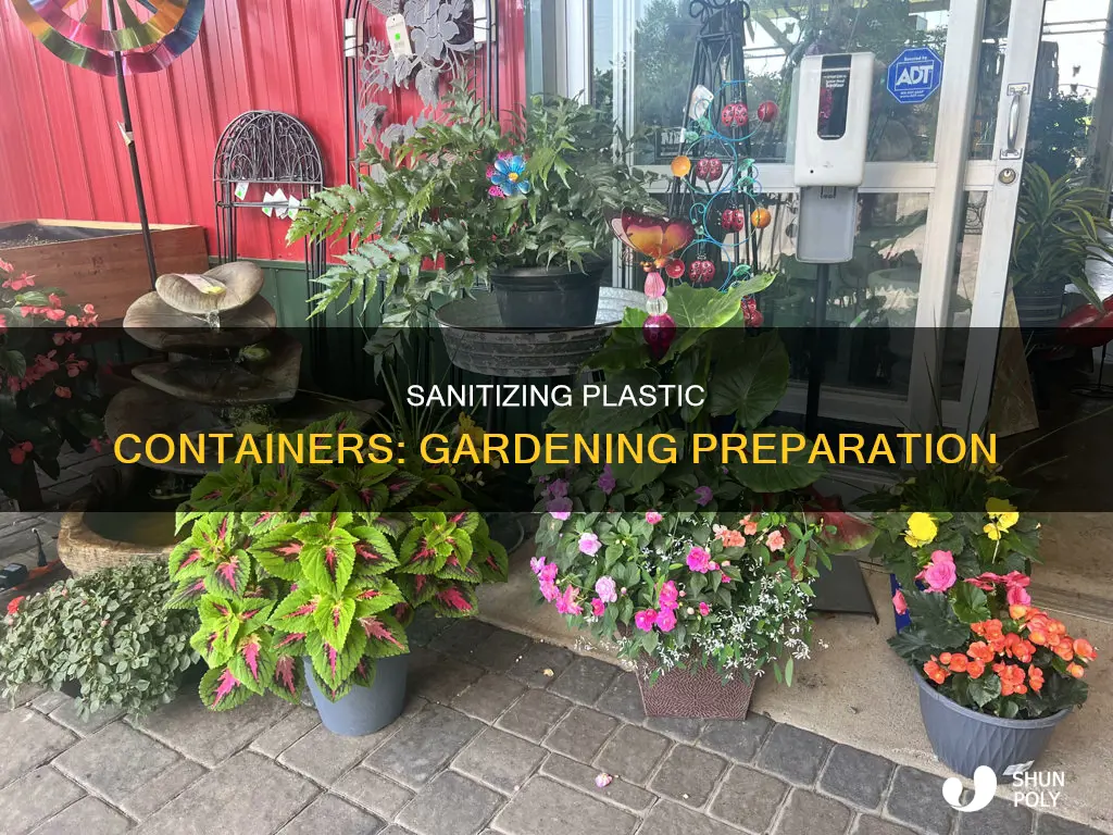 how to sanitize plastic containers for container gardening