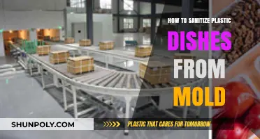 Effective Ways to Sanitize Moldy Plastic Dishes