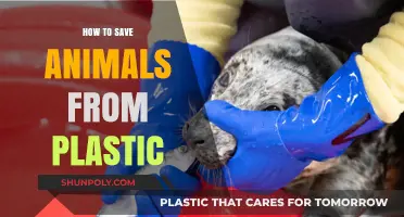 Protecting Animals: Reducing Plastic Threats