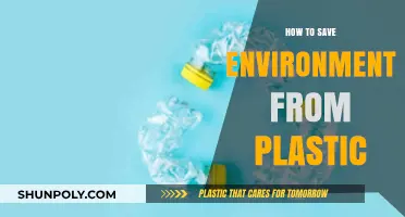 Protecting Nature: Reducing Plastic Usage