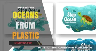 Protecting Our Oceans: Combating Plastic Pollution