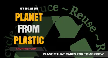 Banishing Plastics: Saving Our Planet