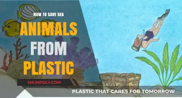 Protecting Sea Animals: Reducing Plastic Pollution