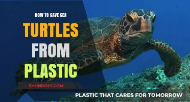Protecting Sea Turtles: Reducing Plastic Pollution