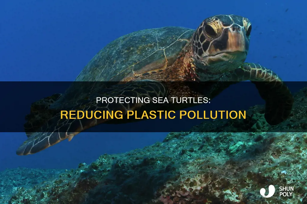 how to save sea turtles from plastic