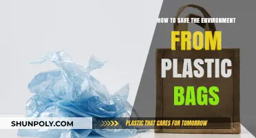 Eco-Friendly Alternatives: Ditch Plastic Bags, Save Our Planet Now