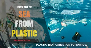 Protecting Our Seas: Reducing Plastic Pollution