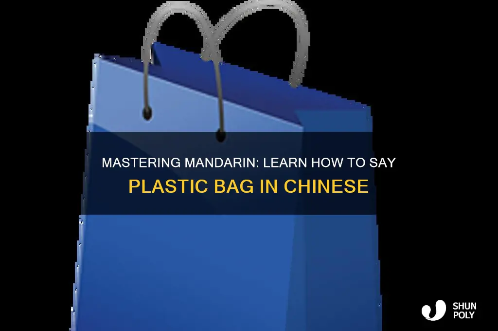 how to say plastic bag in mandarin