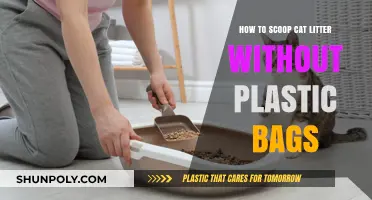 Eco-Friendly Cat Litter Scooping: Plastic-Free Alternatives for a Greener Home