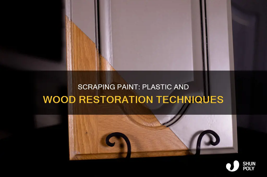 how to scrub paint off plastic wood