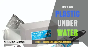 Dive Deep: Seal Plastic Underwater