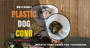 Securing Your Dog: Locking Plastic Crates