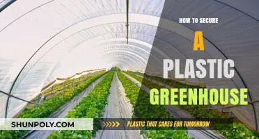 Protecting Your Plastic Greenhouse: Tips for Maximum Security