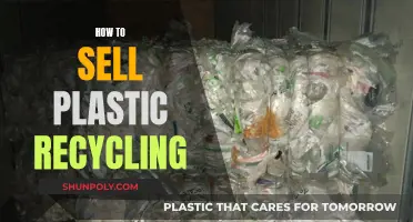 Plastic Recycling: Profitable Environmentalism for Businesses