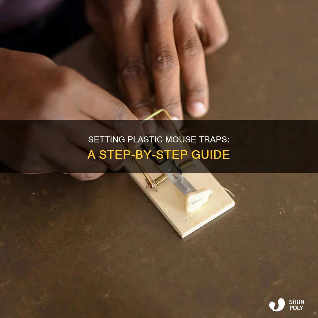 how to set a plastic mouse trap