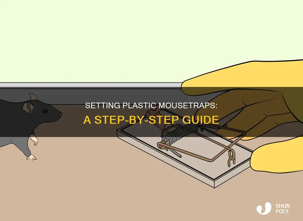 how to set a plastic mousetrap