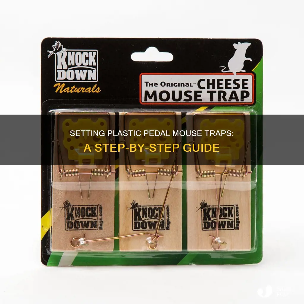 how to set plastic pedal mouse traps