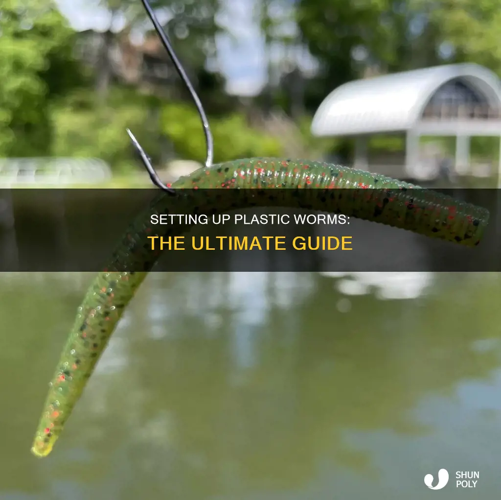 how to set up a plastic worm
