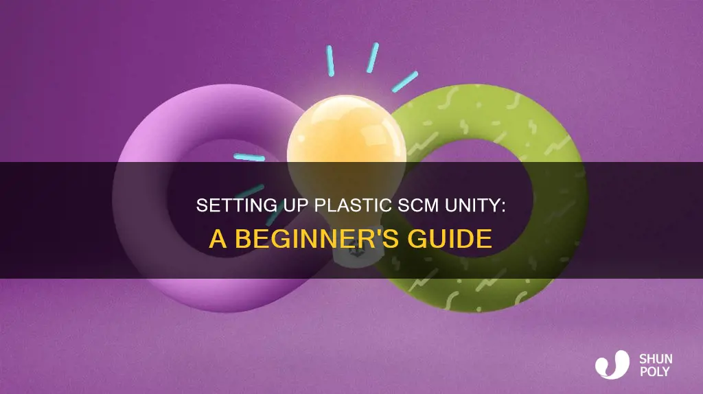 how to set up plastic scm unity