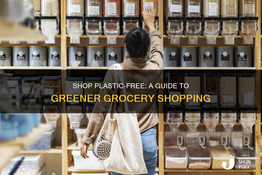 how to shop for groceries without plastic