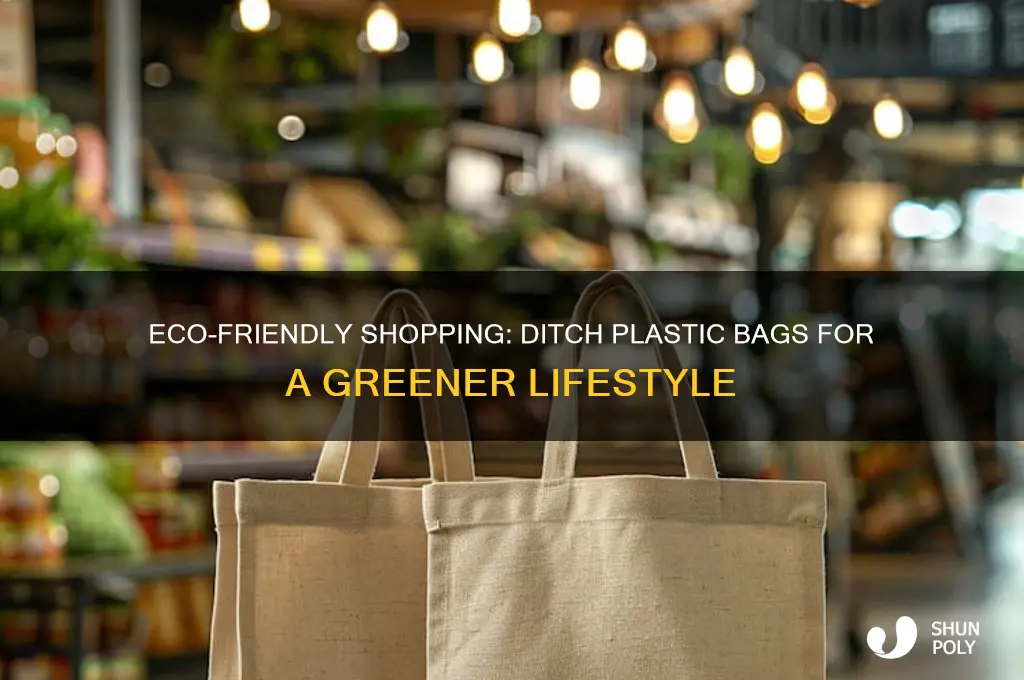 how to shop without plastic bags