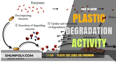 Plastic Degradation: Visualizing the Unseen Crisis