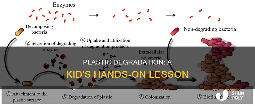 how to show plastic degradation kids activity