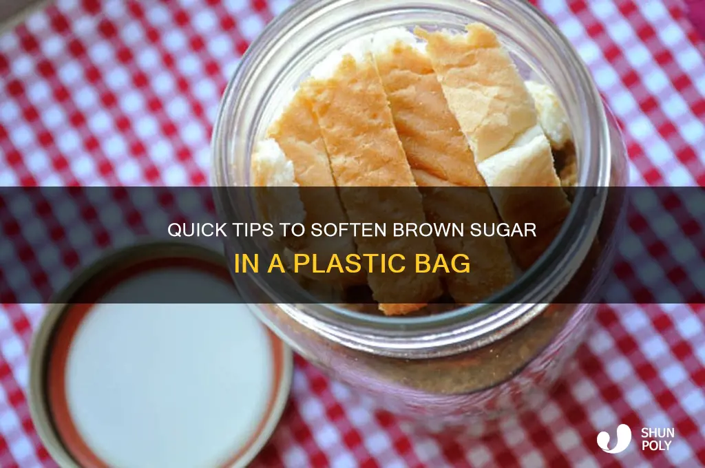 how to soften brown sugar in plastic bag
