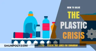 Solving the Plastic Crisis: A Sustainable Approach