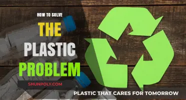 Solving the Plastic Problem: A Sustainable Approach