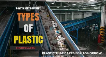Sorting Plastics: A Guide to Plastic Types and Recycling