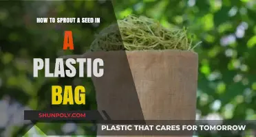 Easy Seed Sprouting: A Simple Plastic Bag Method Guide