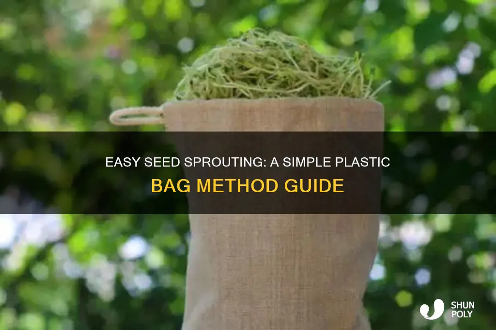 how to sprout a seed in a plastic bag