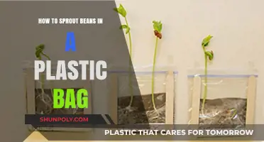 Easy Bean Sprouting: A Simple Guide Using Plastic Bags