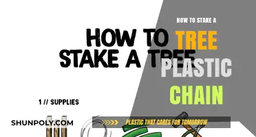 Staking a Tree: Using Plastic Chain for Support