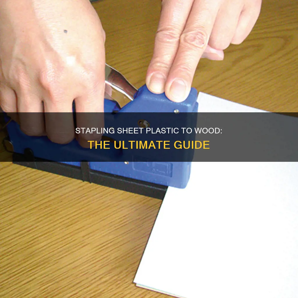 how to staple sheet plastic to wood