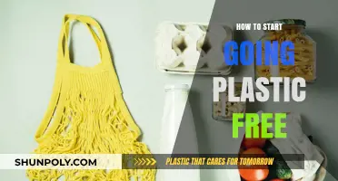 Live Plastic-Free: Simple Steps to Start Today