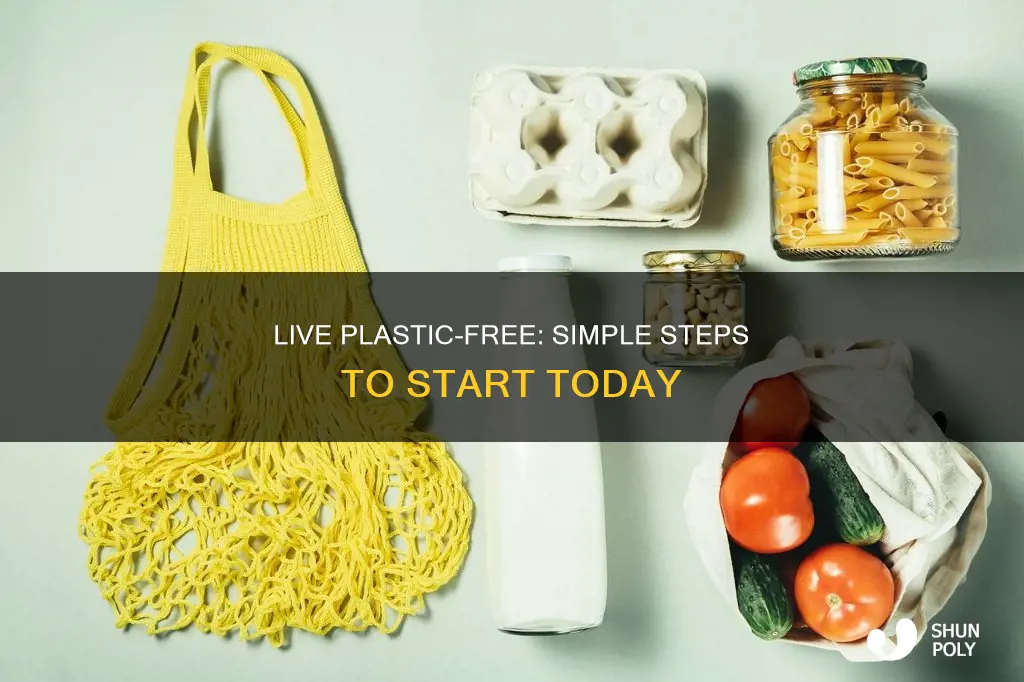 how to start going plastic free