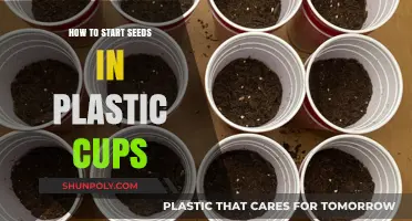 Planting Seeds in Plastic Cups: A Simple Guide