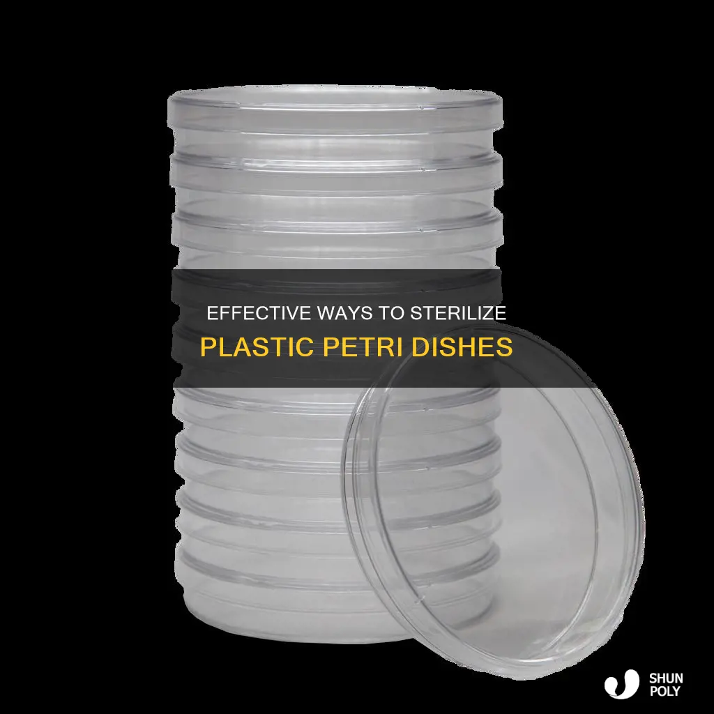 how to sterilise plastic petri dish