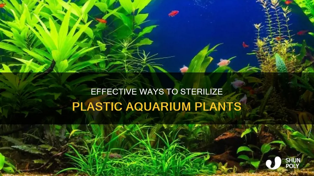 how to sterilize plastic aquarium plants