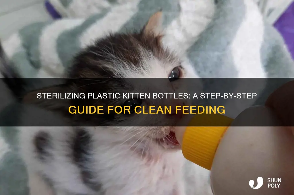 how to sterilize plastic kitten bottles