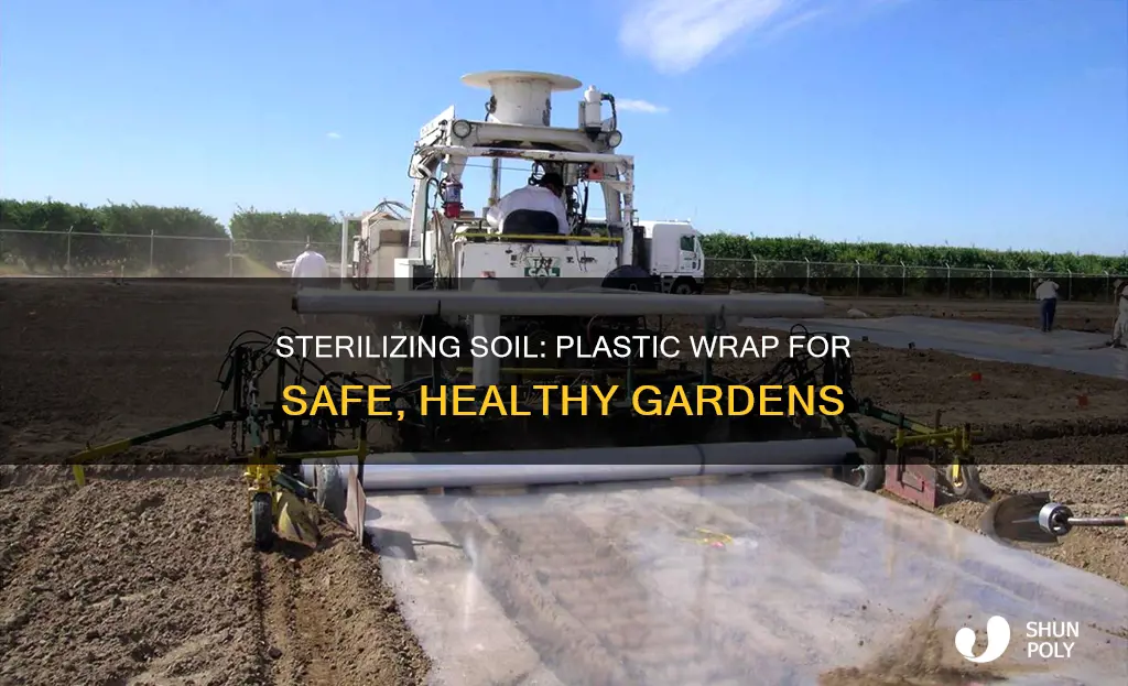 how to sterilize soil with plastic