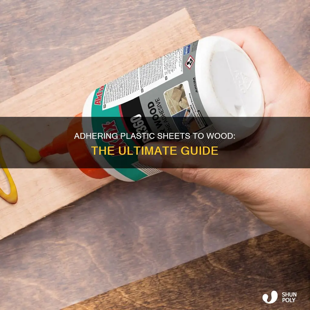 how to stick plastic sheet to wood